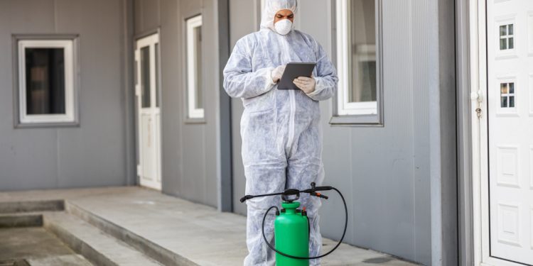 Prévention et solutions des experts à Chambéry pour se débarrasser des nuisibles !